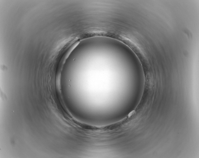 X0000091310692200708101504