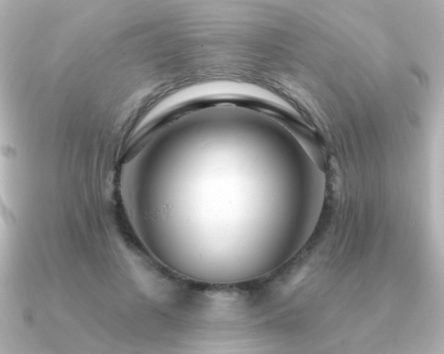 X0000091310693200708101504