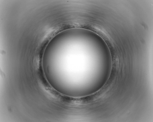 X0000091310694200708101503