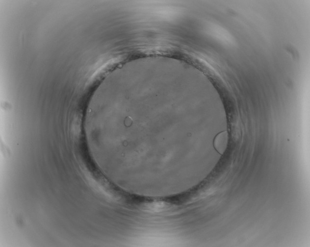 X0000091310695200708101503