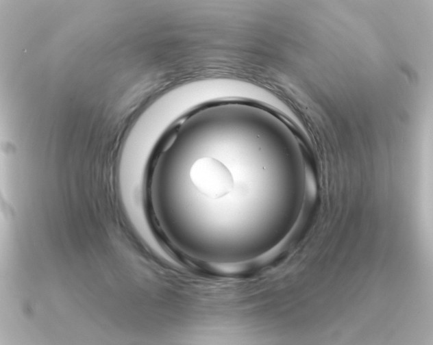 X0000091310696200708101503