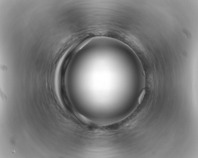 X0000091310697200708101503