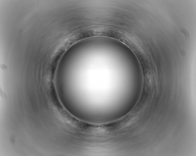 X0000091310698200708101503