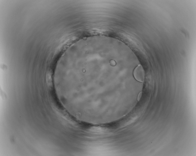 X0000091310699200708101503