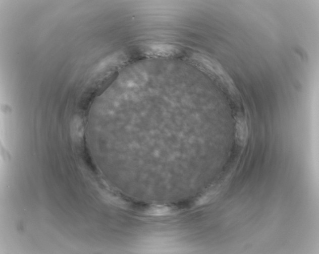 X0000091310701200708101503