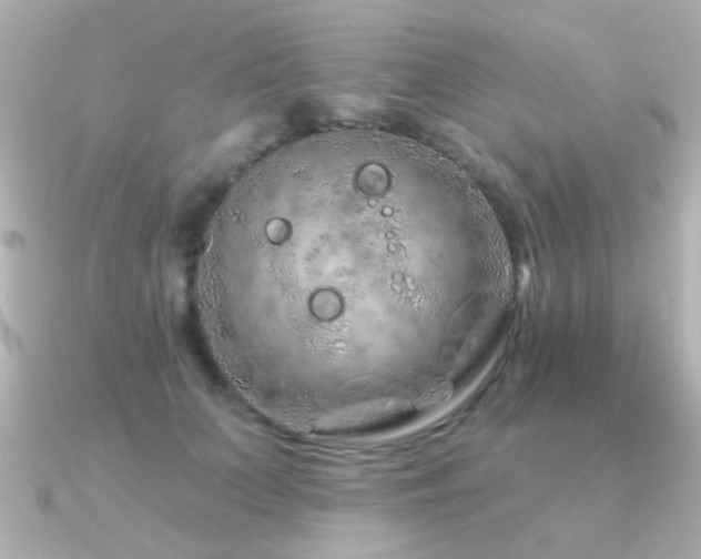 X0000091310703200708101503