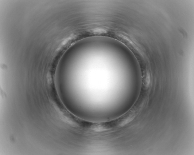 X0000091310704200708101503