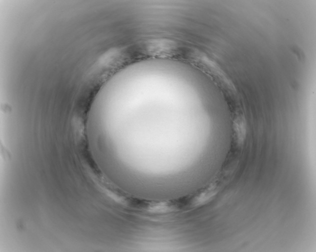 X0000091310705200708101503