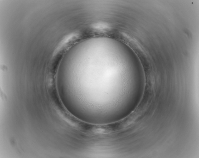 X0000091310706200708101503