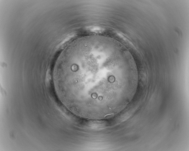 X0000091310707200708101503