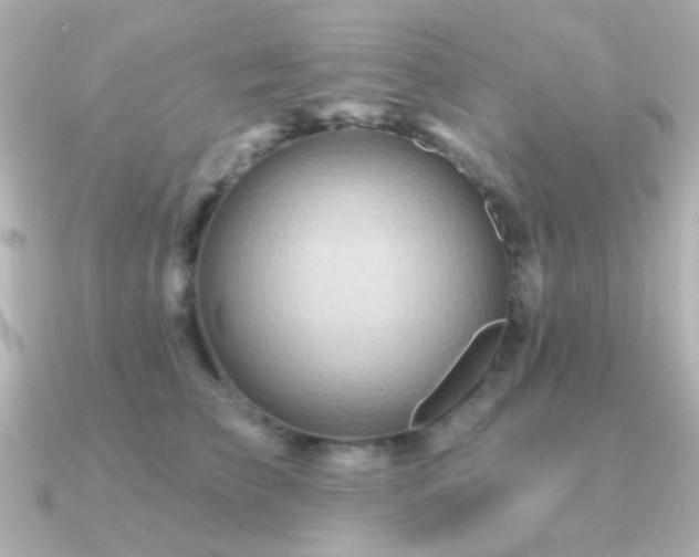 X0000091310709200708101503