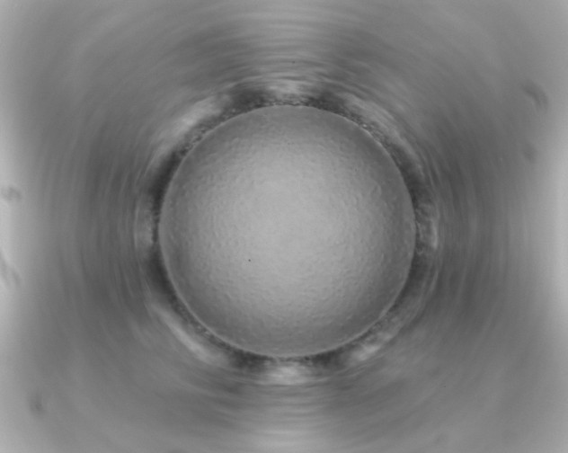 X0000091310710200708101503