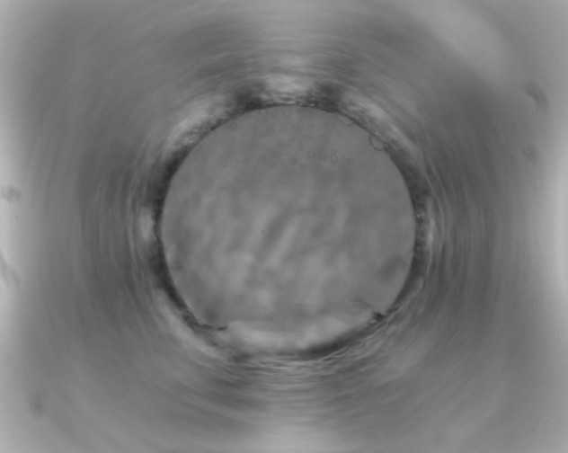 X0000091310711200708101503