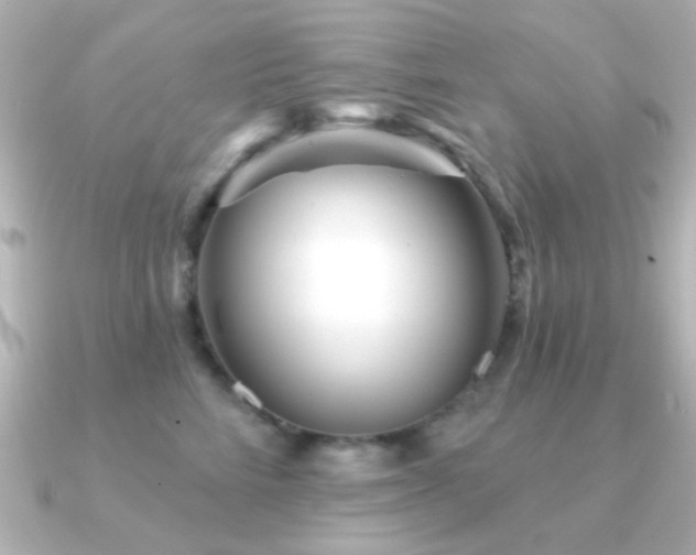 X0000091310712200708101503