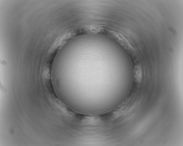 X0000091310713200708101503