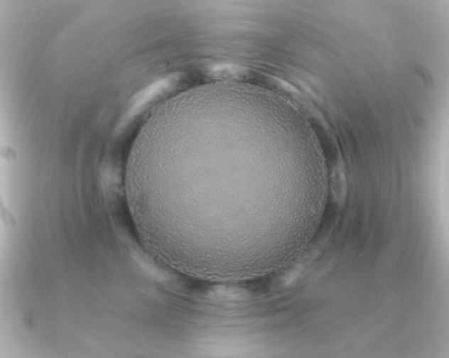 X0000091310714200708101503