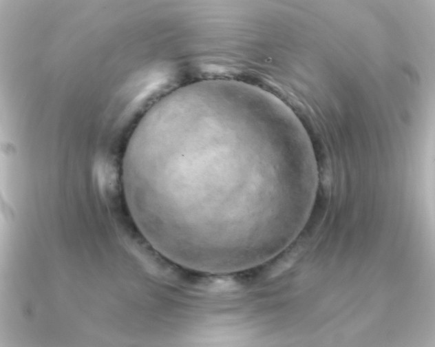 X0000091310715200708101503