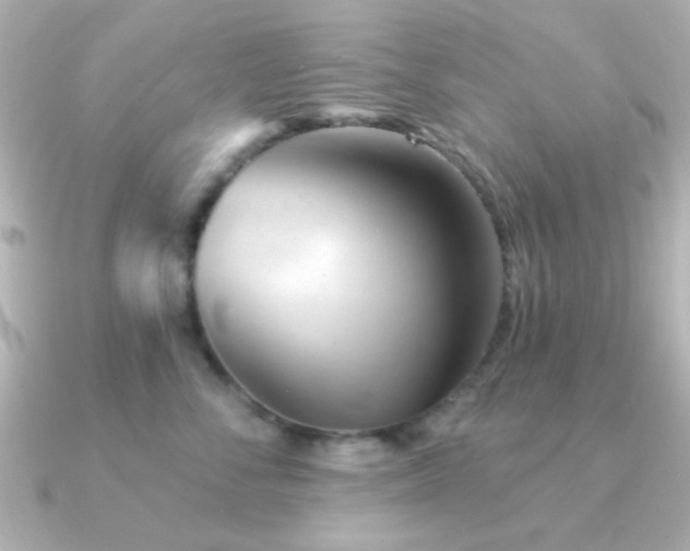 X0000091310716200708101503