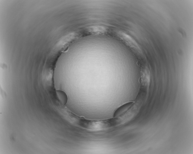 X0000091310717200708101503