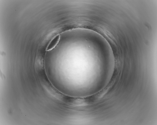 X0000091310718200708101503