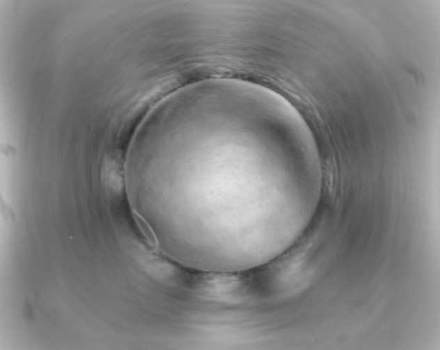 X0000091310719200708101503