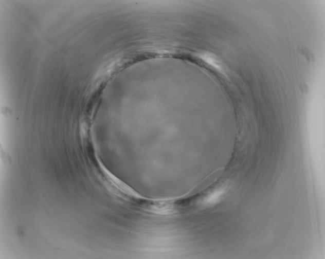 X0000091310720200708101503