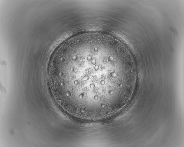 X0000091310721200708101503