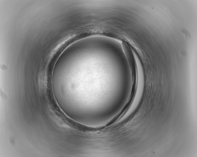 X0000091310722200708101503