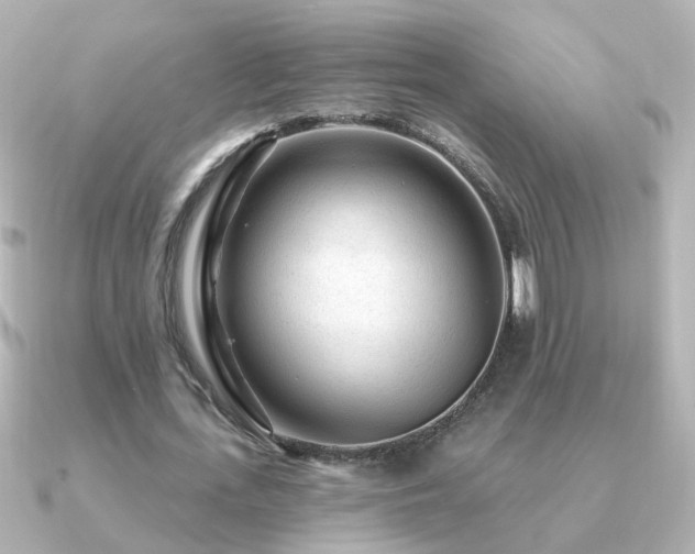 X0000091310723200708101503