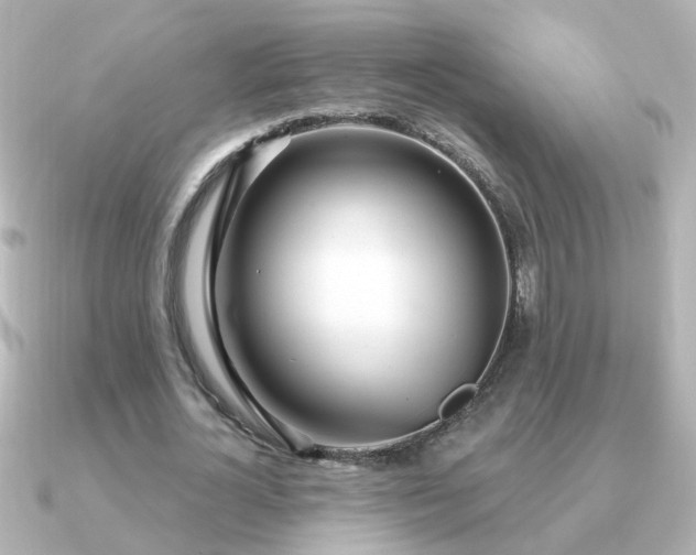 X0000091310724200708101503