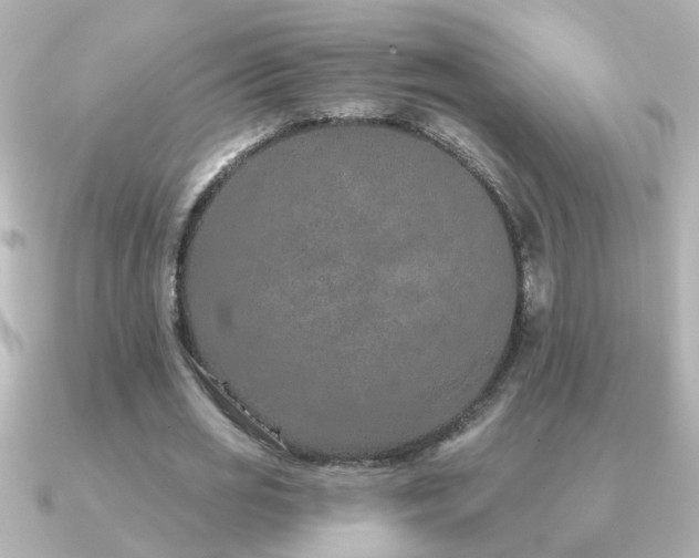 X0000091310725200708101503