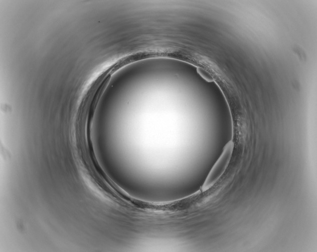 X0000091310726200708101503