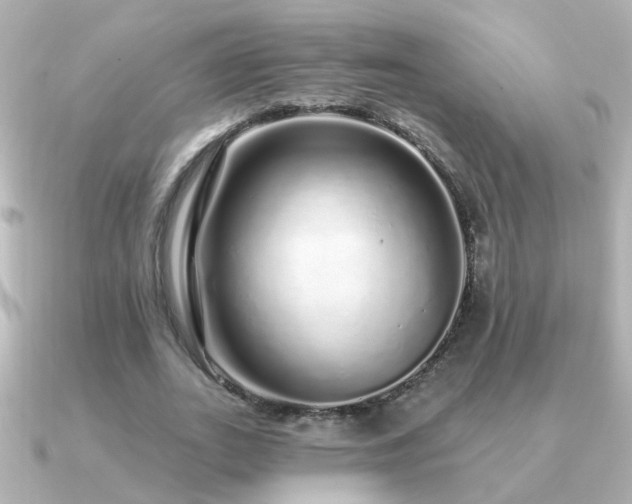 X0000091310727200708101503