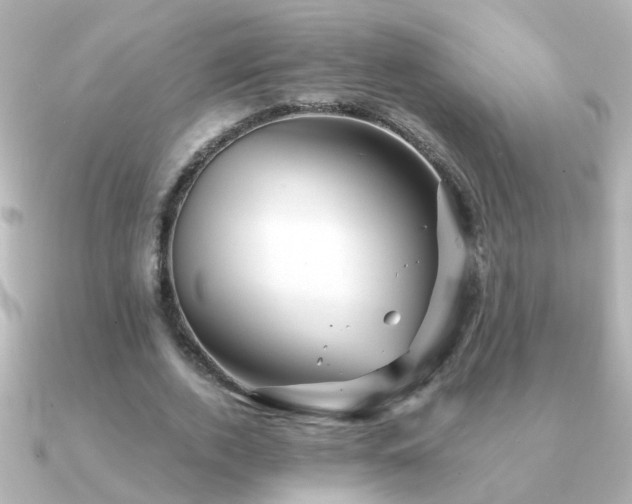 X0000091310728200708101503