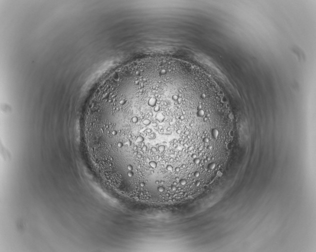 X0000091310729200708101503