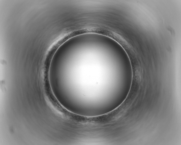 X0000091310730200708101503