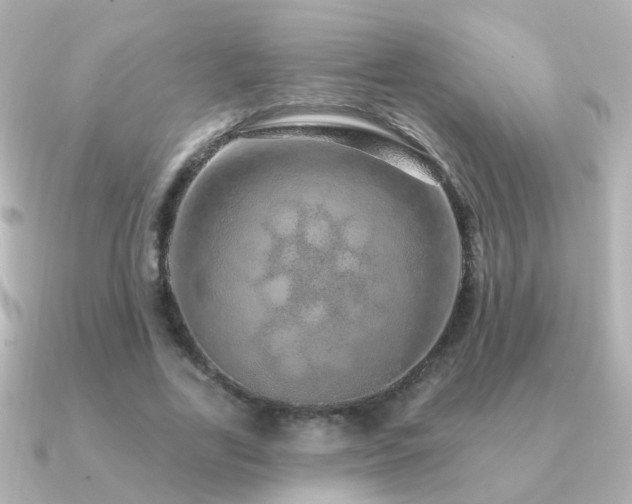 X0000091310731200708101503