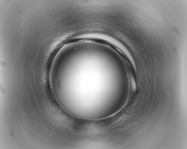 X0000091310732200708101503