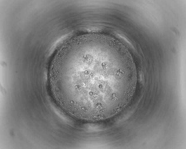 X0000091310733200708101503