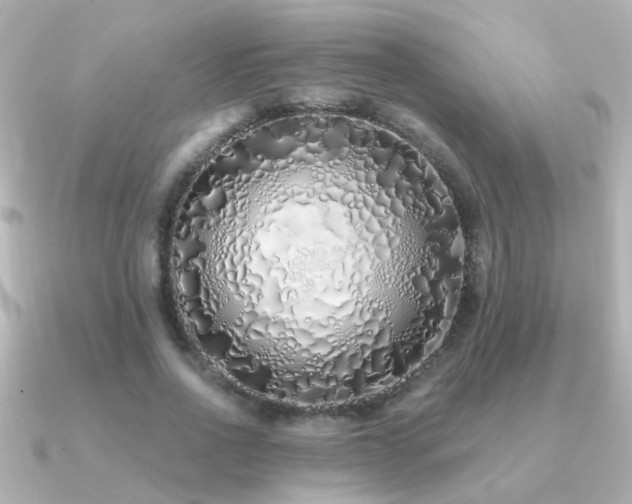 X0000091310734200708101503