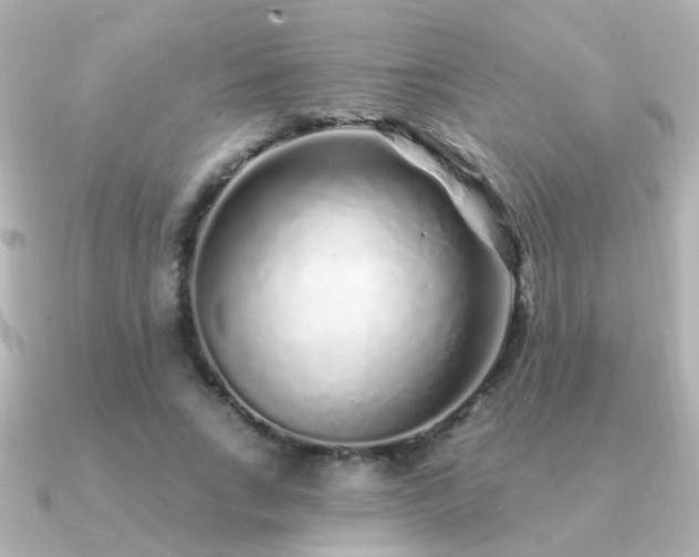 X0000091310735200708101503