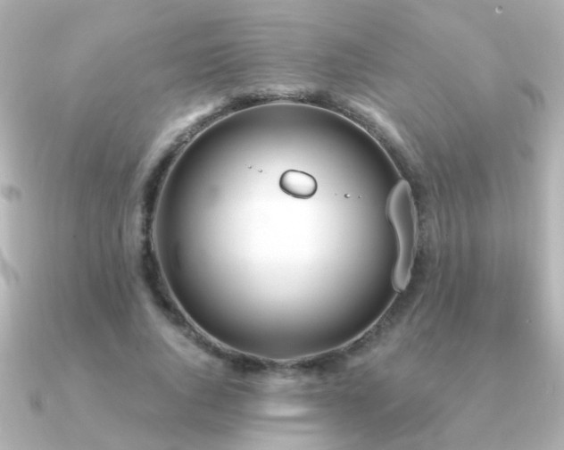 X0000091310736200708101503