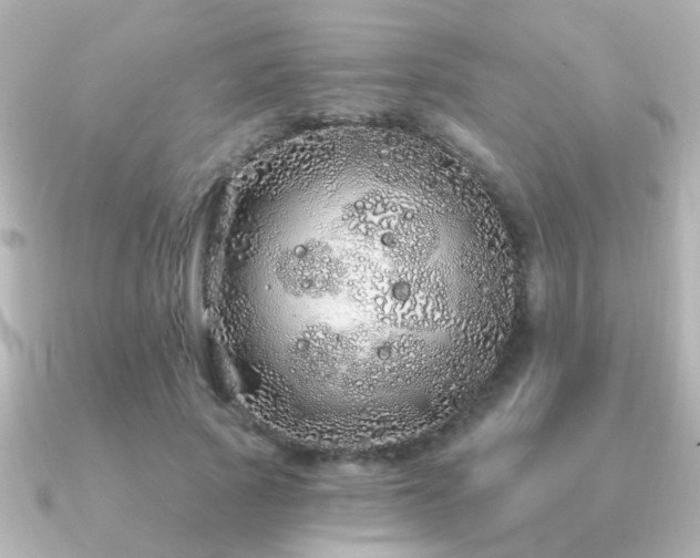 X0000091310737200708101503