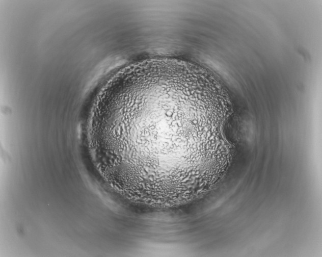 X0000091310738200708101503