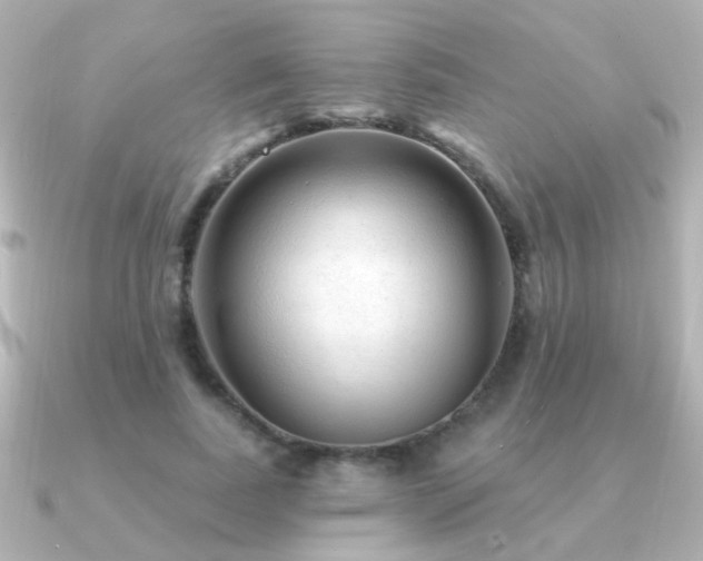 X0000091310739200708101503