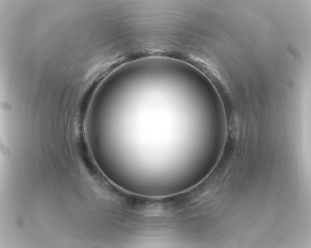 X0000091310740200708101503