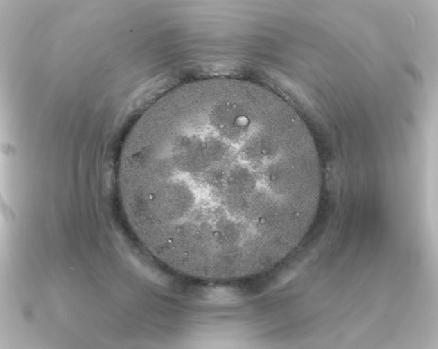 X0000091310741200708101503