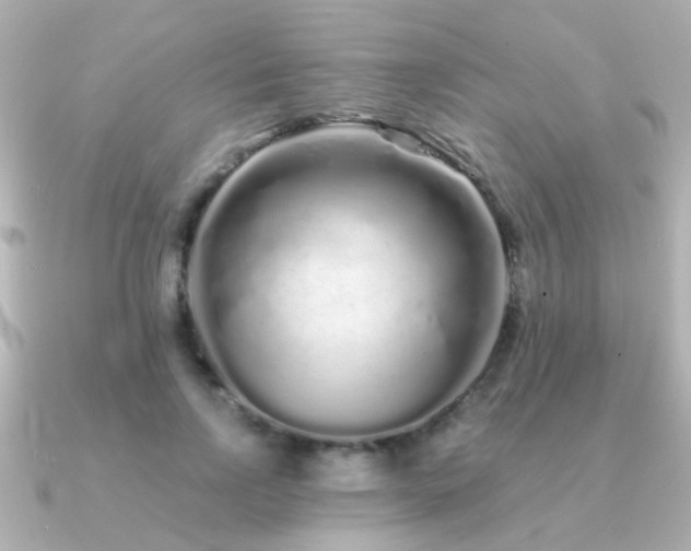 X0000091310742200708101503