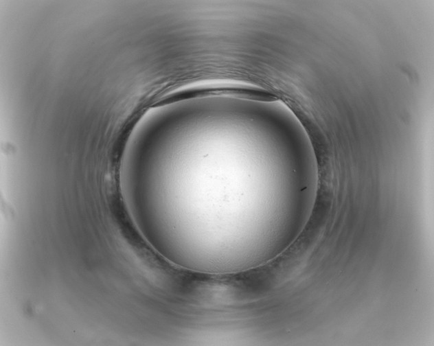 X0000091310743200708101503