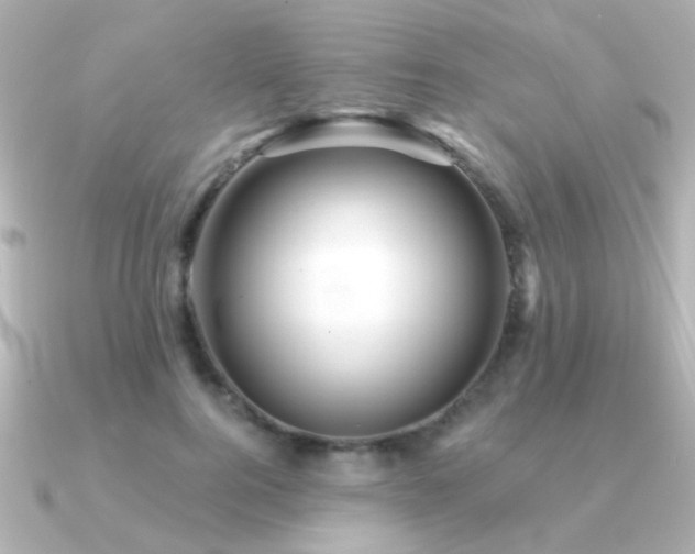 X0000091310744200708101503